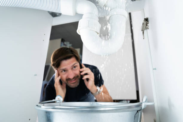Best Clogged Drain Plumber  in Wolverine Lake, MI