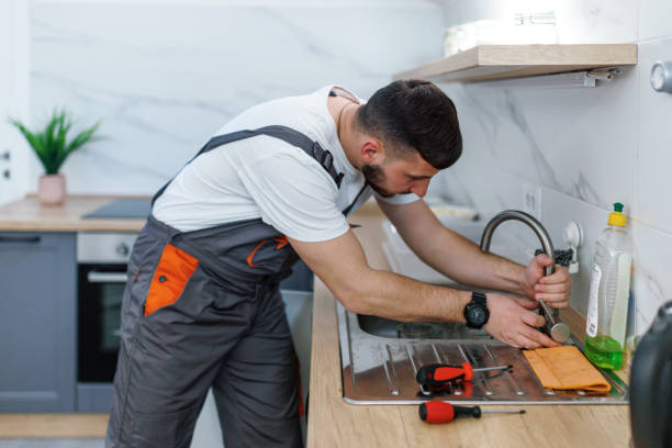 Best Affordable Plumbing Services  in Wolverine Lake, MI
